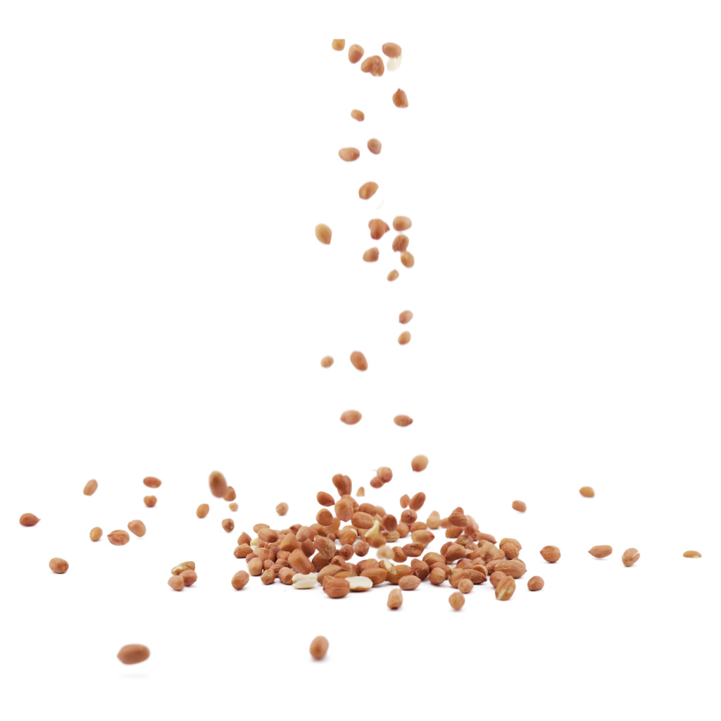 Vivara Kids Erdnüsse für Meisen und Spechte | Vogelfutter